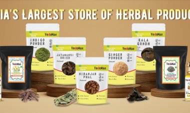 VedoMax helps us to know the importance of medicinal herbs.