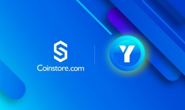 LYOPAY (LYO): Enabling Mass Adoption of Cryptocurrency Through Real-Life Applications
