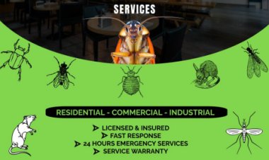 "Urban Junggle: India's Leading Pest Management Company Providing Safe, Sustainable, and Certified Solutions"
