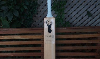 "Choosing the Perfect Cricket Bat from Kashmir: A Guide by Kashmirica"