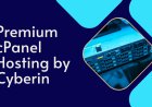Cyberin Premium cPanel Hosting Is Smart Choice for Businesses in 2025