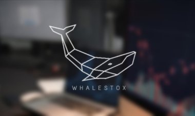 Whalestox: Empowering India’s New-Age Traders Through Practical Stock Market Education