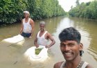 Mangrove Ecosystems: Nature's Living Shield Against Climate Change and Coastal Disasters